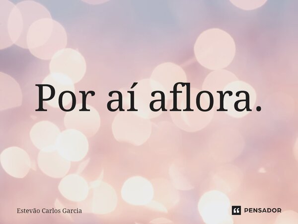 ⁠Por aí aflora.... Frase de Estevão Carlos Garcia.