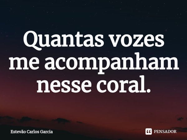 ⁠Quantas vozes me acompanham nesse coral.... Frase de Estevão Carlos Garcia.