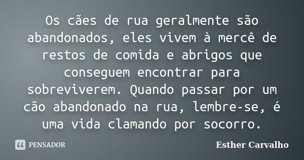 Os cães de rua geralmente são abandonados, eles vivem à mercê de restos de comida e abrigos que conseguem encontrar para sobreviverem. Quando passar por um cão ... Frase de Esther Carvalho.