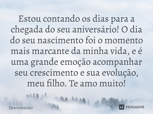 ⁠Estou contando os dias para a chegada do seu aniversário! O dia do seu nascimento foi o momento mais marcante da minha vida, e é uma grande emoção acompanhar s