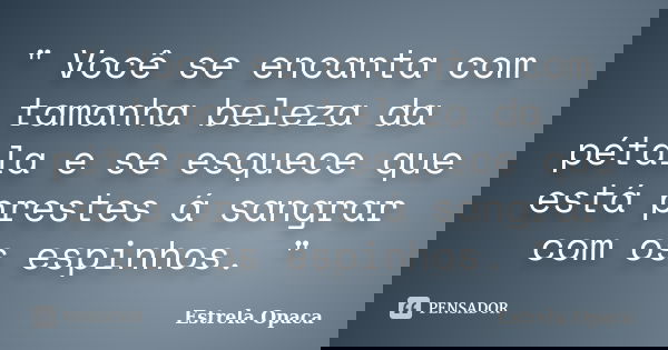 " Você se encanta com tamanha beleza da pétala e se esquece que está prestes á sangrar com os espinhos. "... Frase de Estrela Opaca.