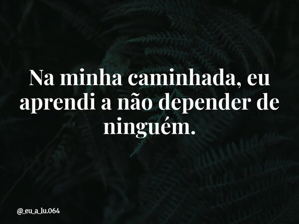 Na minha caminhada, eu aprendi a não depender de ninguém.... Frase de _eu_a_lu.064.