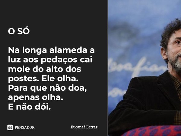⁠O SÓ Na longa alameda a luz aos pedaços cai
mole do alto dos postes. Ele olha.
Para que não doa, apenas olha.
E não dói.... Frase de Eucanaã Ferraz.