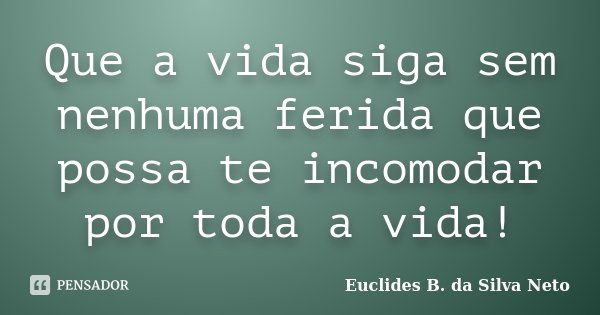 Que a vida siga sem nenhuma ferida que possa te incomodar por toda a vida!... Frase de Euclides B. da Silva Neto.