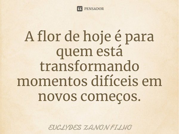 ⁠A flor de hoje é para quem está transformando momentos difíceis em novos começos.... Frase de EUCLYDES ZANON FILHO.