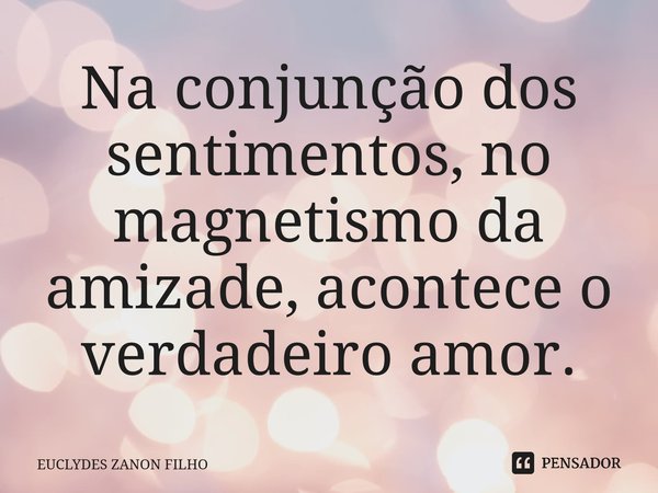 Na conjunção dos sentimentos, no magnetismo da amizade, acontece o verdadeiro amor.⁠... Frase de EUCLYDES ZANON FILHO.