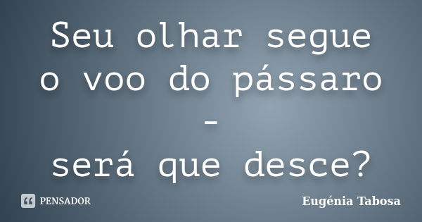 Seu olhar segue
o voo do pássaro -
será que desce?... Frase de Eugénia Tabosa.