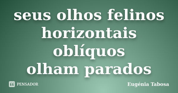 seus olhos felinos
horizontais oblíquos
olham parados... Frase de Eugénia Tabosa.