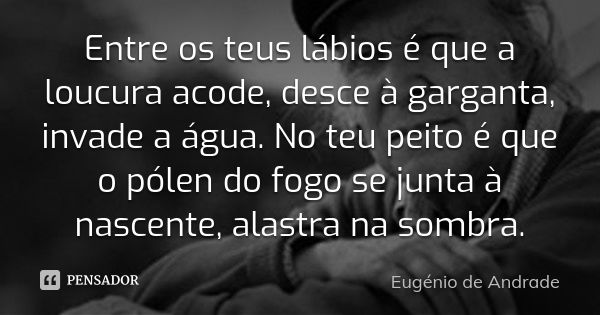 Entre os teus lábios é que a loucura acode, desce à garganta, invade a água. No teu peito é que o pólen do fogo se junta à nascente, alastra na sombra.... Frase de Eugénio de Andrade.