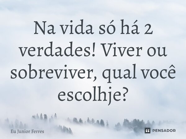 ⁠Na vida só há 2 verdades! Viver ou sobreviver, qual você escolhe?... Frase de Eu Junior Ferres.