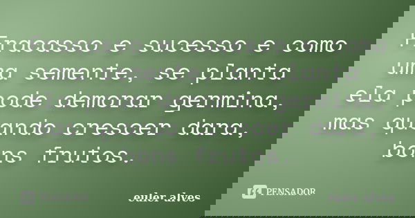 Fracasso e sucesso e como uma semente, se planta ela pode demorar germina, mas quando crescer dara, bons frutos.... Frase de euler alves.
