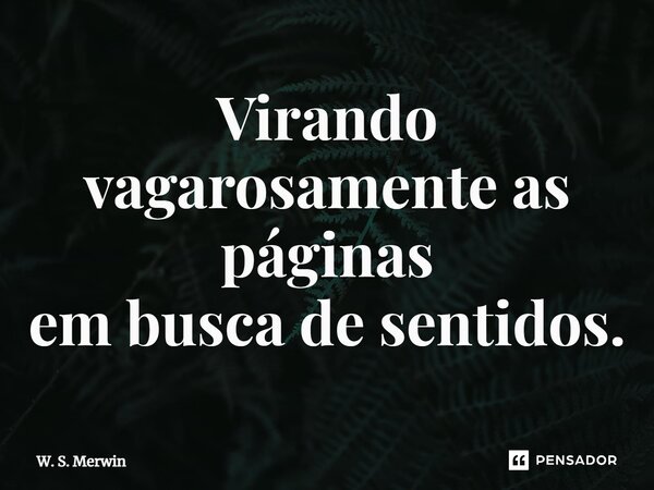 ⁠Virando vagarosamente as páginas em busca de sentidos.... Frase de W. S. Merwin.
