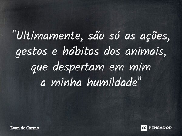 "Ultimamente, são só as ações, gestos e hábitos dos animais, quedespertamem mim a minha humildade "... Frase de Evan do carmo.