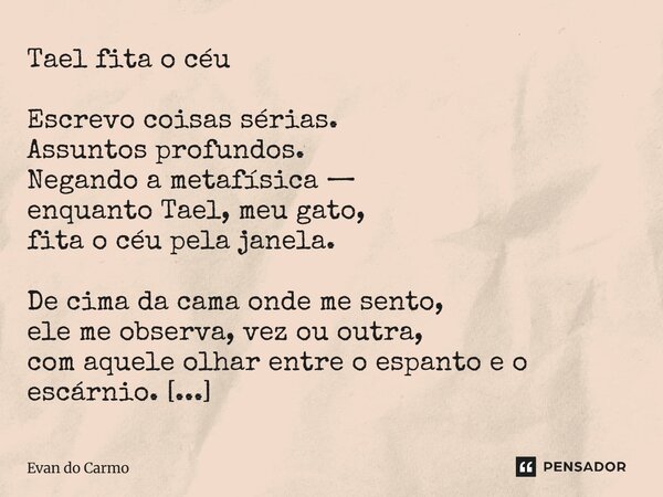 Tael fita o céu Escrevo coisas sérias. Assuntos profundos. Negando a metafísica — enquanto Tael, meu gato, fita o céu pela janela. De cima da cama onde me sent... Frase de Evan do carmo.