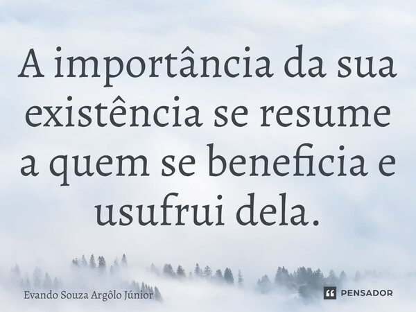 ⁠A importância da sua existência se resume a quem se beneficia e usufrui dela.... Frase de Evando Souza Argôlo Júnior.