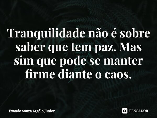 ⁠Tranquilidade não é sobre saber que tem paz. Mas sim que pode se manter firme diante o caos.... Frase de Evando Souza Argôlo Júnior.