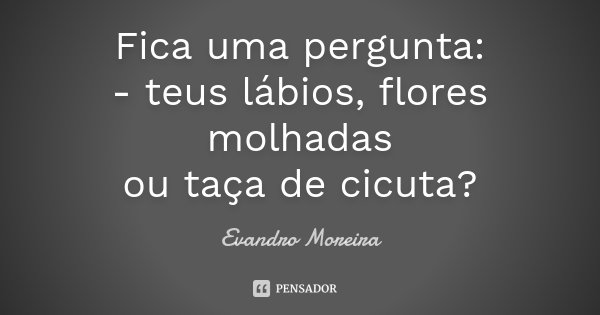 Fica uma pergunta:
- teus lábios, flores molhadas
ou taça de cicuta?... Frase de Evandro Moreira.