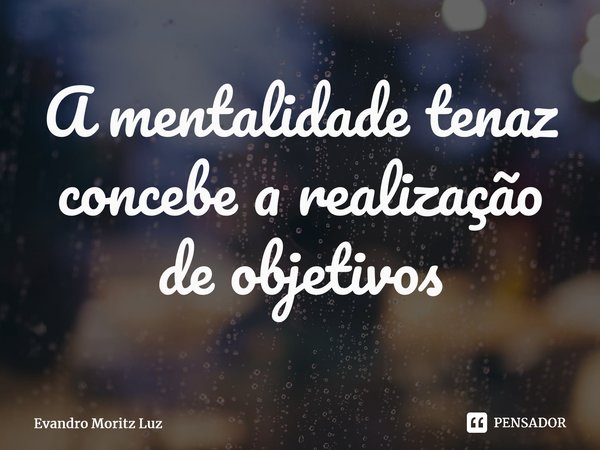 ⁠A mentalidade tenaz concebe a realização de objetivos... Frase de Evandro Moritz Luz.