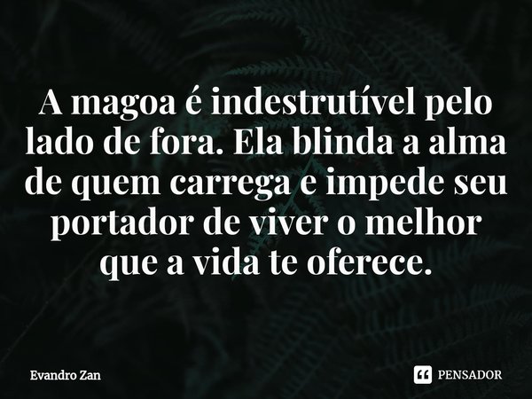 ⁠A magoa é indestrutível pelo lado de fora. Ela blinda a alma de quem carrega e impede seu portador de viver o melhor que a vida te oferece.... Frase de Evandro Zan.
