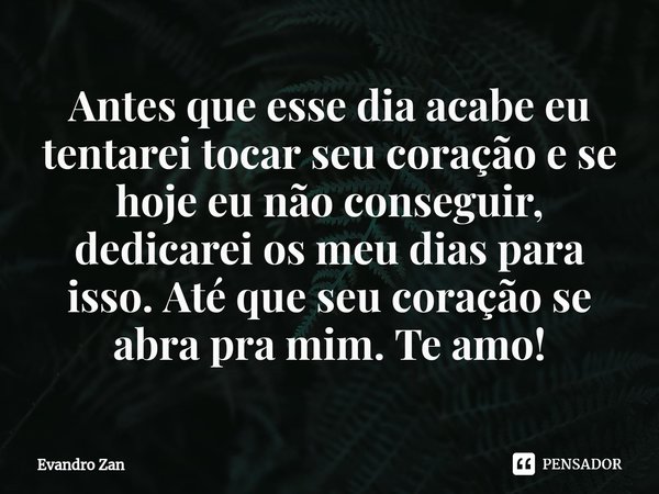 Antes que esse dia acabe eu tentarei tocar seu coração e se hoje eu não conseguir, dedicarei os meu dias para isso. Até que seu coração se abra pra mim. Te amo!... Frase de Evandro Zan.