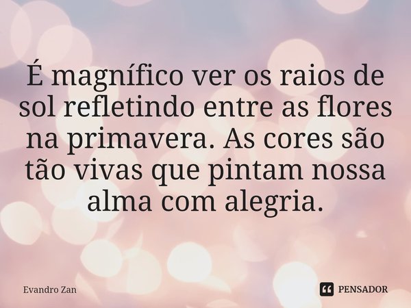⁠É magnífico ver os raios de solrefletindo entre as flores naprimavera. As cores são tão vivasque pintam nossa alma com alegria.... Frase de Evandro Zan.