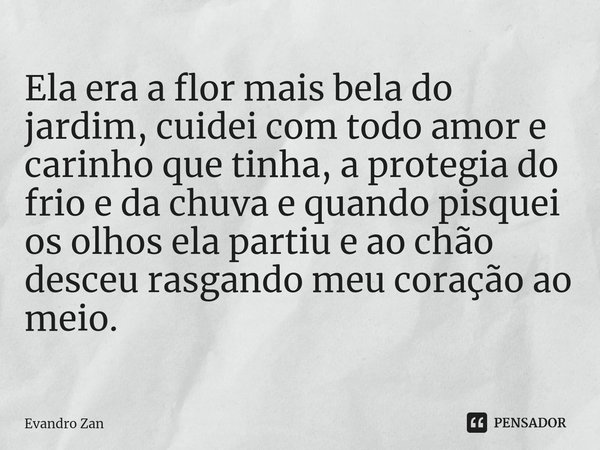 ⁠Ela era a flor mais bela do jardim, cuidei com todo amor e carinho que tinha, a protegia do frio e da chuva e quando pisquei os olhos ela partiu e ao chão desc... Frase de Evandro Zan.