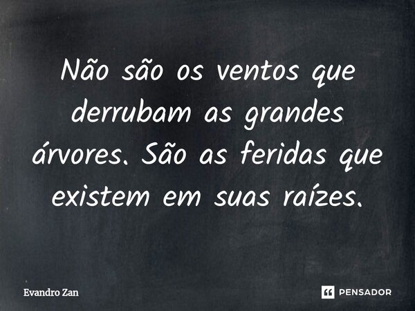 ⁠Não são os ventos que derrubam as grandes árvores. São as feridas que existem em suas raízes.... Frase de Evandro Zan.