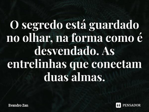 ⁠O segredo está guardado no olhar, na forma como é desvendado. As entrelinhas que conectam duas almas.... Frase de Evandro Zan.