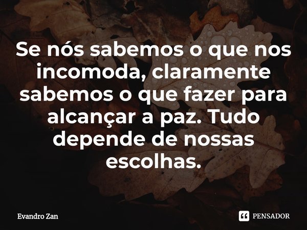 Se nós sabemos o que nos incomoda, claramente sabemos o que fazer para alcançar a paz. Tudo depende de nossas escolhas⁠.... Frase de Evandro Zan.