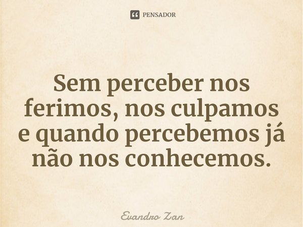 ⁠
Sem perceber nos ferimos, nos culpamos e quando percebemos já não nos conhecemos.... Frase de Evandro Zan.
