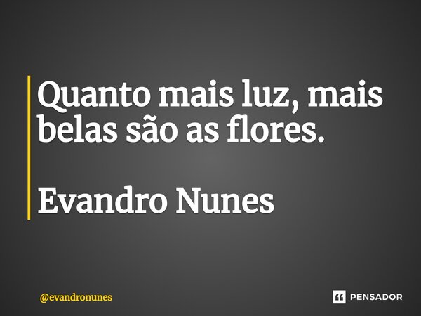 ⁠Quanto mais luz, mais belas são as flores. Evandro Nunes... Frase de evandronunes.