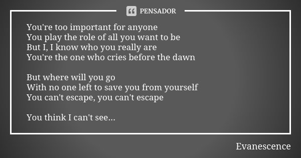 You're too important for anyone You play the role of all you want to be But I, I know who you really are You're the one who cries before the dawn But where will... Frase de evanescence.
