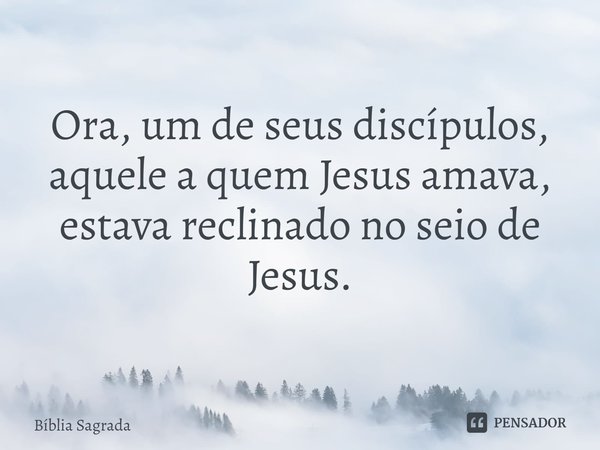 Ora, um de seus discípulos, aquele a quem Jesus amava, estava reclinado no seio de Jesus.... Frase de Bíblia Sagrada.
