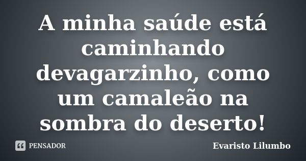 A minha saúde está caminhando devagarzinho, como um camaleão na sombra do deserto!... Frase de Evaristo Lilumbo.