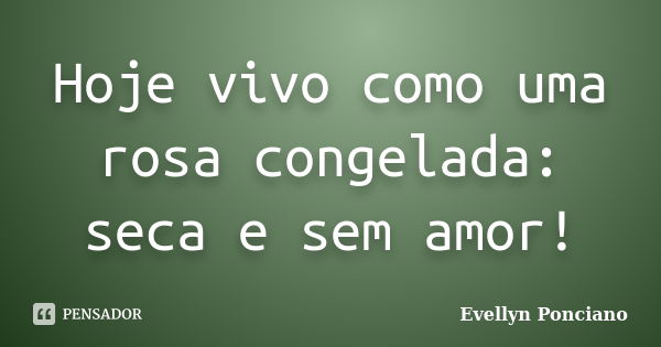 Hoje vivo como uma rosa congelada: seca e sem amor!... Frase de Evellyn Ponciano.