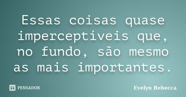 Essas coisas quase imperceptíveis que, no fundo, são mesmo as mais importantes.... Frase de Evelyn Rebecca.