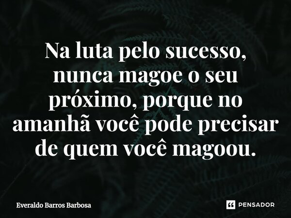 ⁠Na luta pelo sucesso, nunca magoe o seu próximo, porque no amanhã você pode precisar de quem você magoou.... Frase de Everaldo Barros Barbosa.