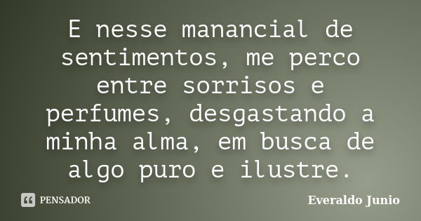 E nesse manancial de sentimentos, me perco entre sorrisos e perfumes, desgastando a minha alma, em busca de algo puro e ilustre.... Frase de Everaldo Junio.