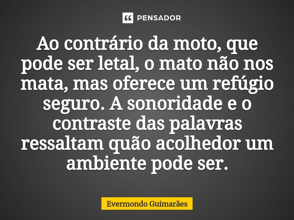 ⁠Ao contrário da moto, que pode ser letal, o mato não nos mata, mas oferece um refúgio seguro. A sonoridade e o contraste das palavras ressaltam quão acolhedor ... Frase de Evermondo Guimarães.