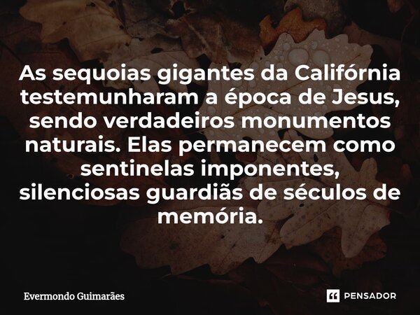 ⁠As sequoias gigantes da Califórnia testemunharam a época de Jesus, sendo verdadeiros monumentos naturais. Elas permanecem como sentinelas imponentes, silencios... Frase de Evermondo Guimarães.