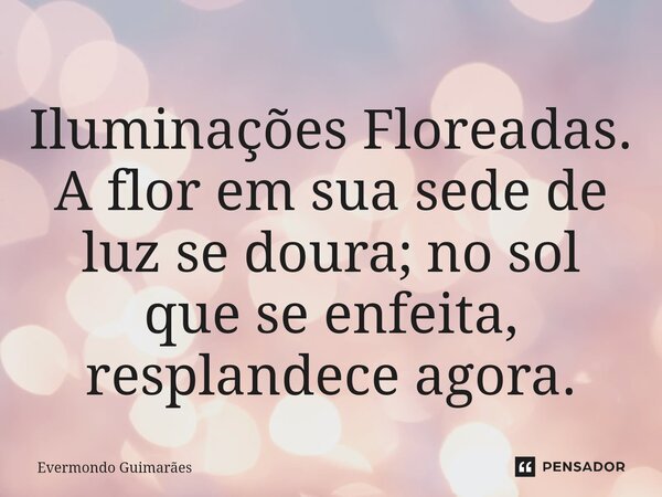 ⁠Iluminações Floreadas. A flor em sua sede de luz se doura; no sol que se enfeita, resplandece agora.... Frase de Evermondo Guimarães.