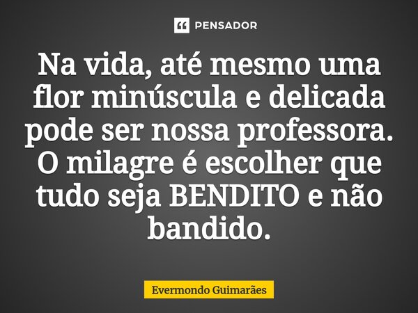 ⁠Na vida, até mesmo uma flor minúscula e delicada pode ser nossa professora. O milagre é escolher que tudo seja BENDITO e não bandido.... Frase de Evermondo Guimarães.