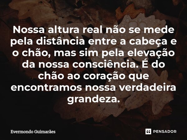 ⁠Nossa altura real não se mede pela distância entre a cabeça e o chão, mas sim pela elevação da nossa consciência. É do chão ao coração que encontramos nossa ve... Frase de Evermondo Guimarães.