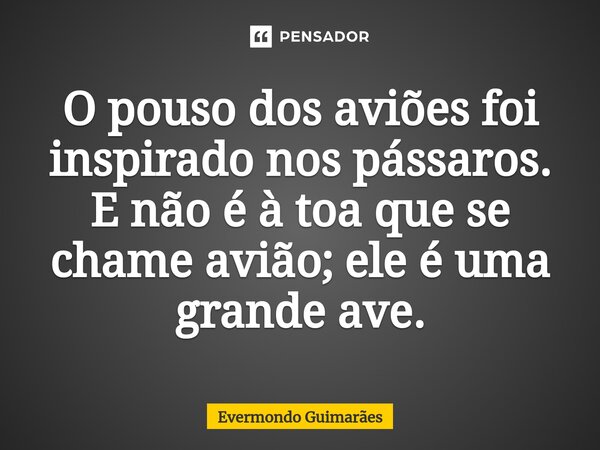 ⁠O pouso dos aviões foi inspirado nos pássaros. E não é à toa que se chame avião; ele é uma grande ave.... Frase de Evermondo Guimarães.