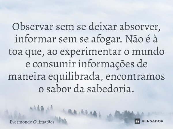 Observar e absorver: Viagem ao sul - tava emperrando, mas saiu