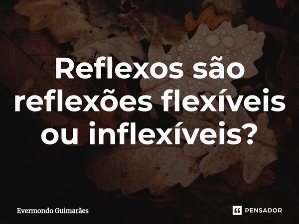 ⁠Reflexos são reflexões flexíveis ou inflexíveis?... Frase de Evermondo Guimarães.