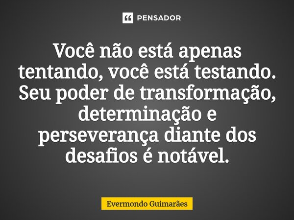 ⁠Você não está apenas tentando, você está testando. Seu poder de transformação, determinação e perseverança diante dos desafios é notável.... Frase de Evermondo Guimarães.