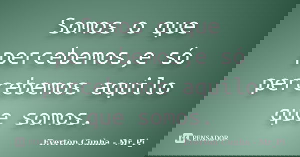 Somos o que percebemos,e só percebemos aquilo que somos.... Frase de Everton Cunha - Mr_Pi.