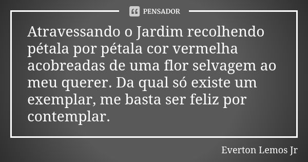 Atravessando o Jardim recolhendo pétala por pétala cor vermelha acobreadas de uma flor selvagem ao meu querer. Da qual só existe um exemplar, me basta ser feliz... Frase de Everton Lemos Jr.