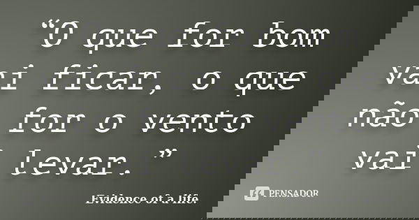 “O que for bom vai ficar, o que não for o vento vai levar.”... Frase de Evidence of a life..